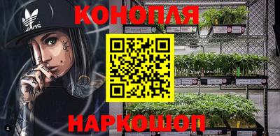 прущие крисы Можга