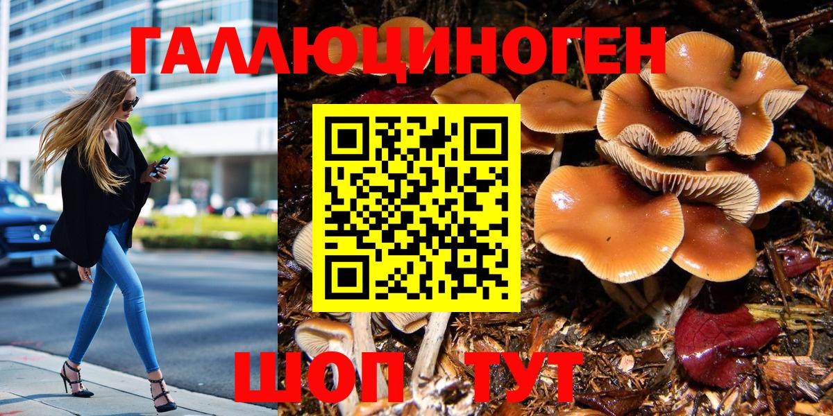наркотики  Галлюциногенные грибы Cubensis  Псилоцибиновые грибы Cubensis  Вход с VPN  Вичуга 