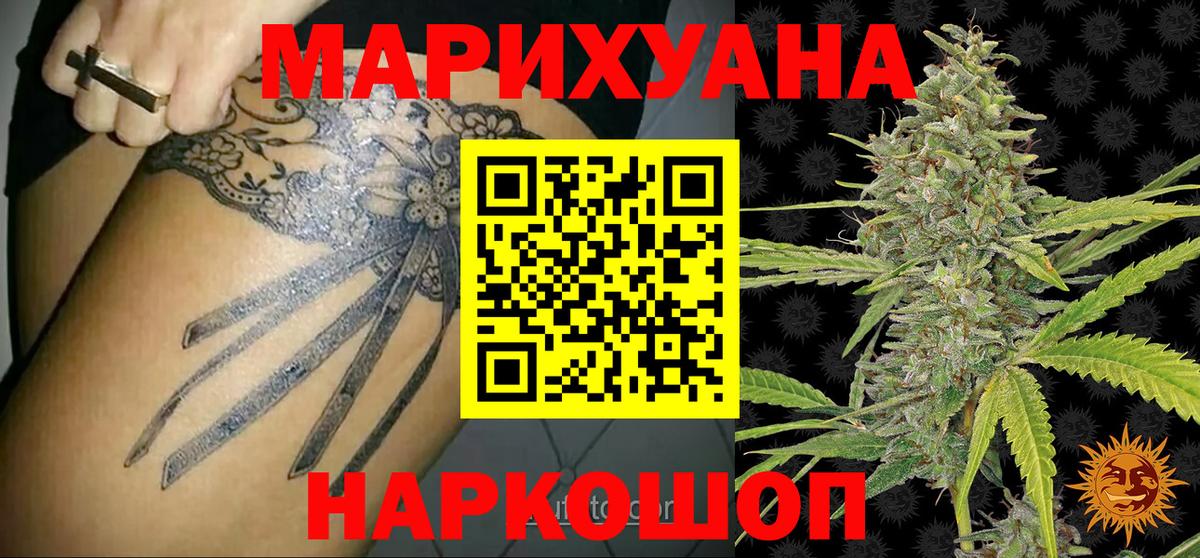Конопля сатива Вичуга